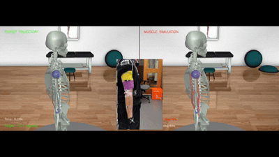 Media 1 for Hybrid Simulation and EMG-Controlled Upper-Limb Exoskeleton